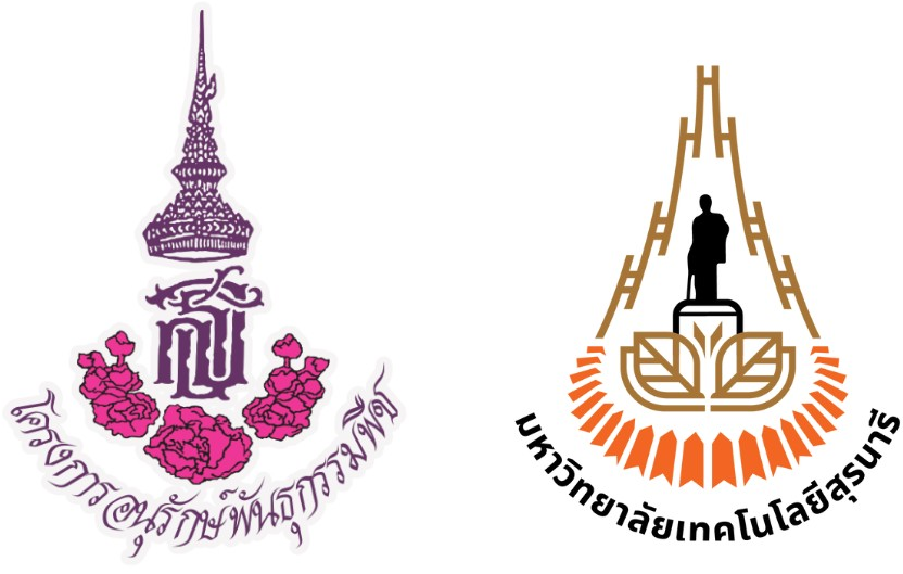 โลโก้